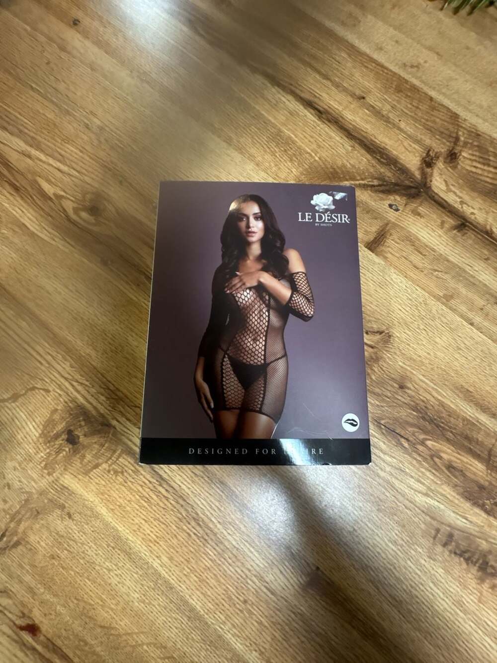 Le Désir Short-Sleeved Fishnet Mini Dress S-XL Black